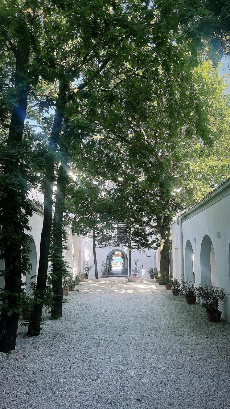 Hotel Hacienda De Mare Olimp Zewnętrze zdjęcie