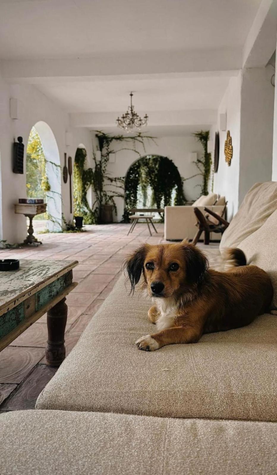 Hotel Hacienda De Mare Olimp Zewnętrze zdjęcie